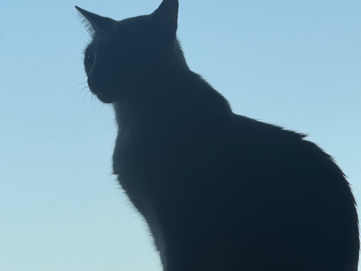 Toda a forma de ouvir música vale a pena